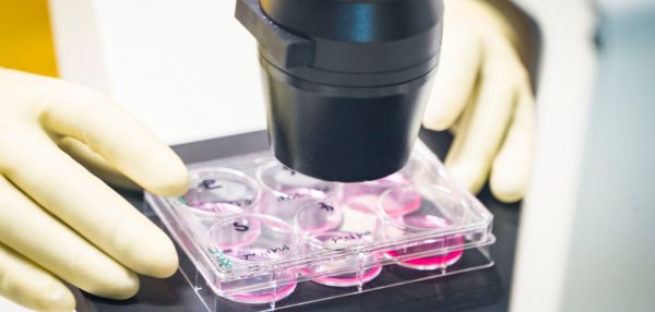 В России начали испытывать вакцину против коронавируса на животных