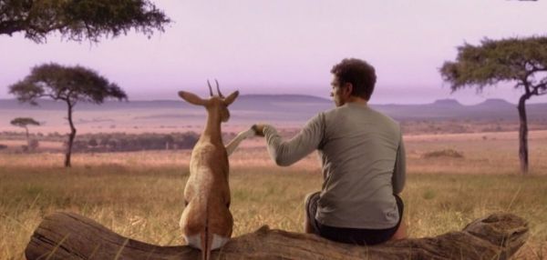 Свой среди чужих: 8 реальных историй людей, сумевших выжить в дикой природе