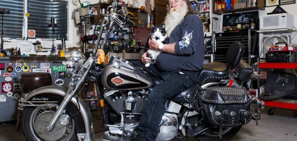 Идеальный союз: мужчины и их коты