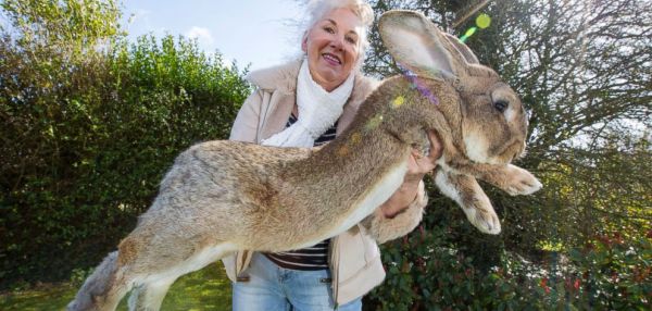 15 невообразимо громадных животных, которые на самом деле существуют