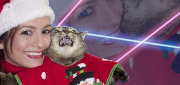 Животные, которые терпеть не могут Рождество и Новый год