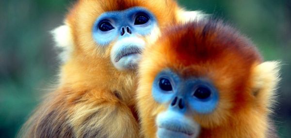 16 существ будто с другой планеты