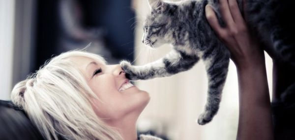 Почему кошки лучше относятся к женщинам, чем к мужчинам