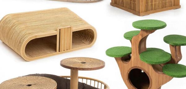 Как выбрать идеальный лоток для кошки: полное руководство для заботливого хозяина