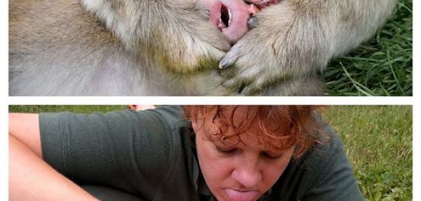 Работники зоопарка смешно копируют животных