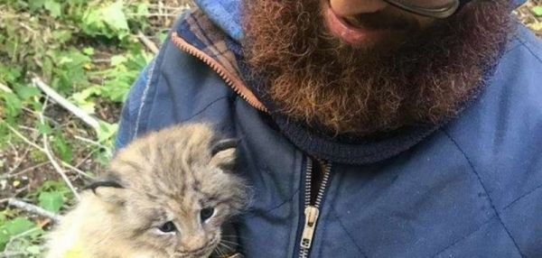 Канадец нашел в лесу маленького брошенного котенка. точнее он думал, что это котенок...
