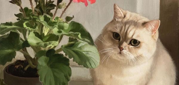 Почему кошки едят цветы?