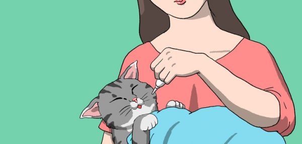 Правила первой помощи домашнему питомцу, которые важно знать каждому хозяину