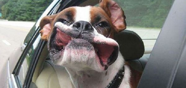 Только ветер, только счастье впереди