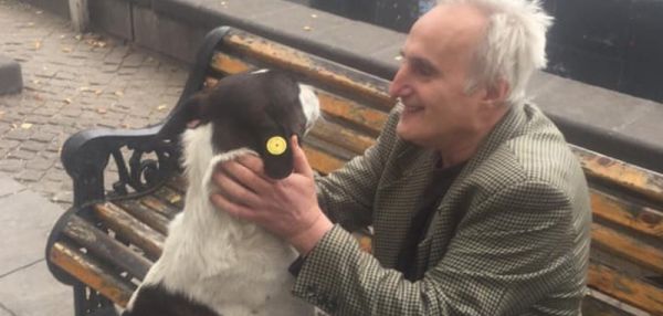 История возвращения собаки после 3 лет поисков