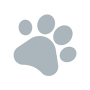 ПРОПАЛА КОШКА г.СПУТНИК