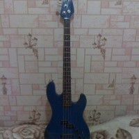 Ищю случайно ушедшую из рук бас гитару musima action.