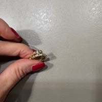 Потеряна сережка.