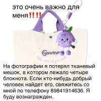 Я потерял сумку и блокнот