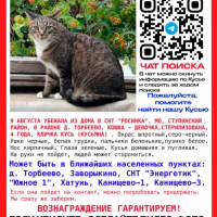 Найдено:  кошка