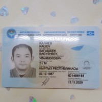 Потеряли документы