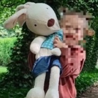 Потеряна мягкая игрушка