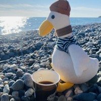 Утеряна игрушка