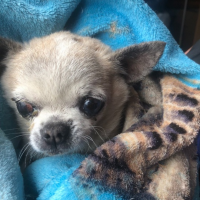 Найдено:  он