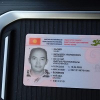 Потеряли документы