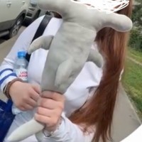 Игрушка Акула