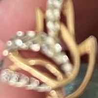 Потеряла золотую сережку