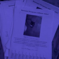 Пропала кошка Буся в Заречном микрорайоне