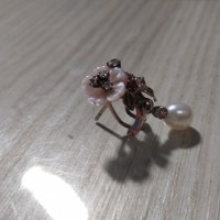 Потерялась 2 Серёжка