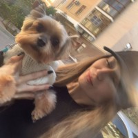 ПРОПАЛА СОБАКА