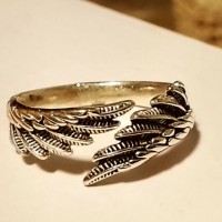 Найдено кольцо "Крылья"