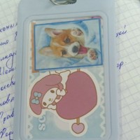 Потеряла электронный пропуск