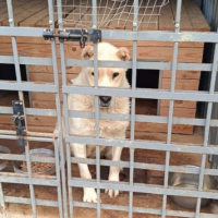 Найдено:  девочка