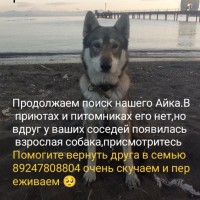 Потерялся Айк