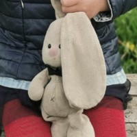 Потеряна любимая игрушка