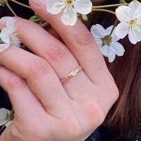 Золотое кольцо