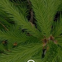 Ключи от авто