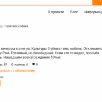 Ошибка модераторов. Поиск собаки продолжается