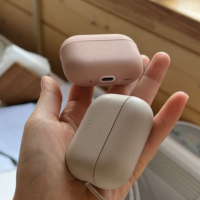 Потеряно:  футляр