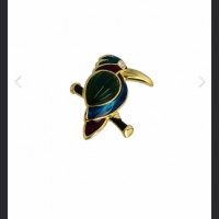 Потеряли брошь - птичку (тукан)