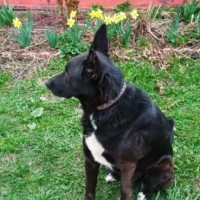 Потерялся Друг