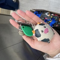 Связка ключей