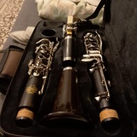 Потерял кларнет