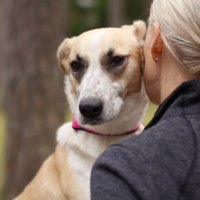 Отдам в добрые руки:  девочка