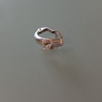 Потеряла сережку