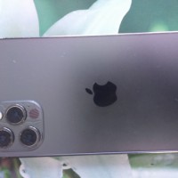 найден  айфон