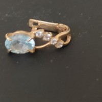 Потеряна золотая серьга в Фитнес хаусе на Таллинском