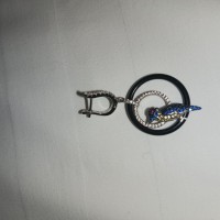 Потеряла сережку