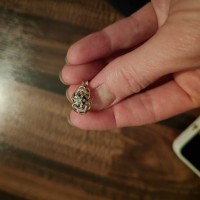 Утеряна золотая сережка