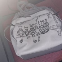 Потеряна сумка с личными вещами и документами